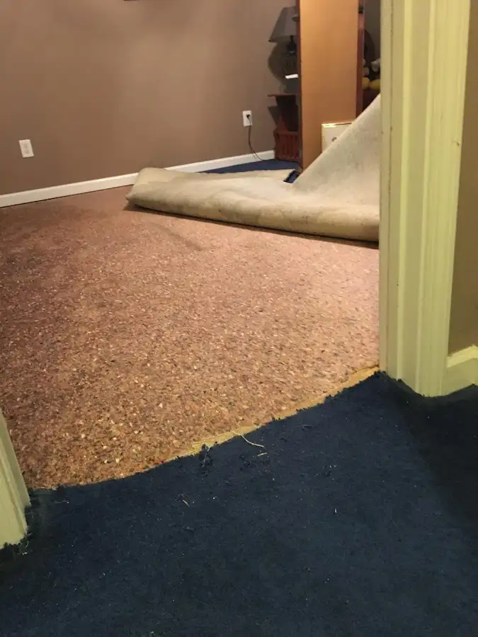 Carpet pad removal revealing water damage during Water Mitigation Services in Highland Heights