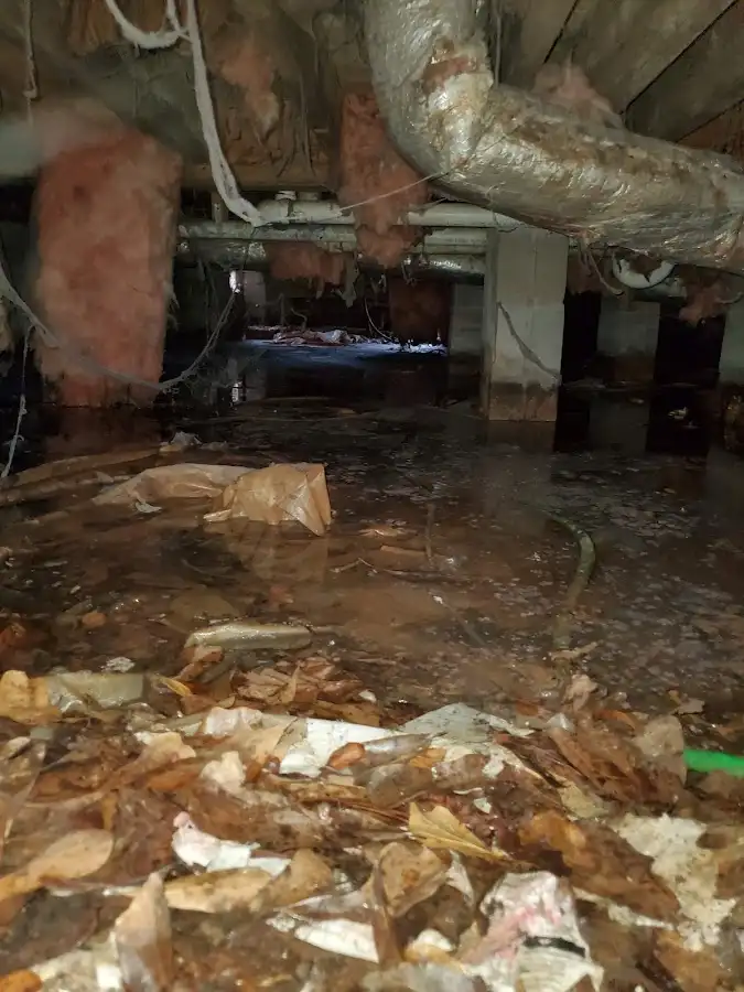 Crawl space flood assessment for Leak Detection & Repair in Highland Heights